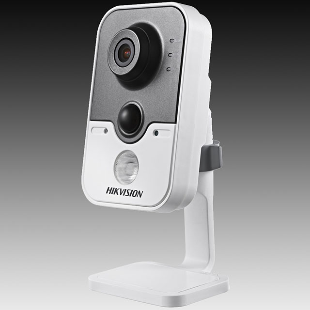 DS-2CD2432-IW Camera