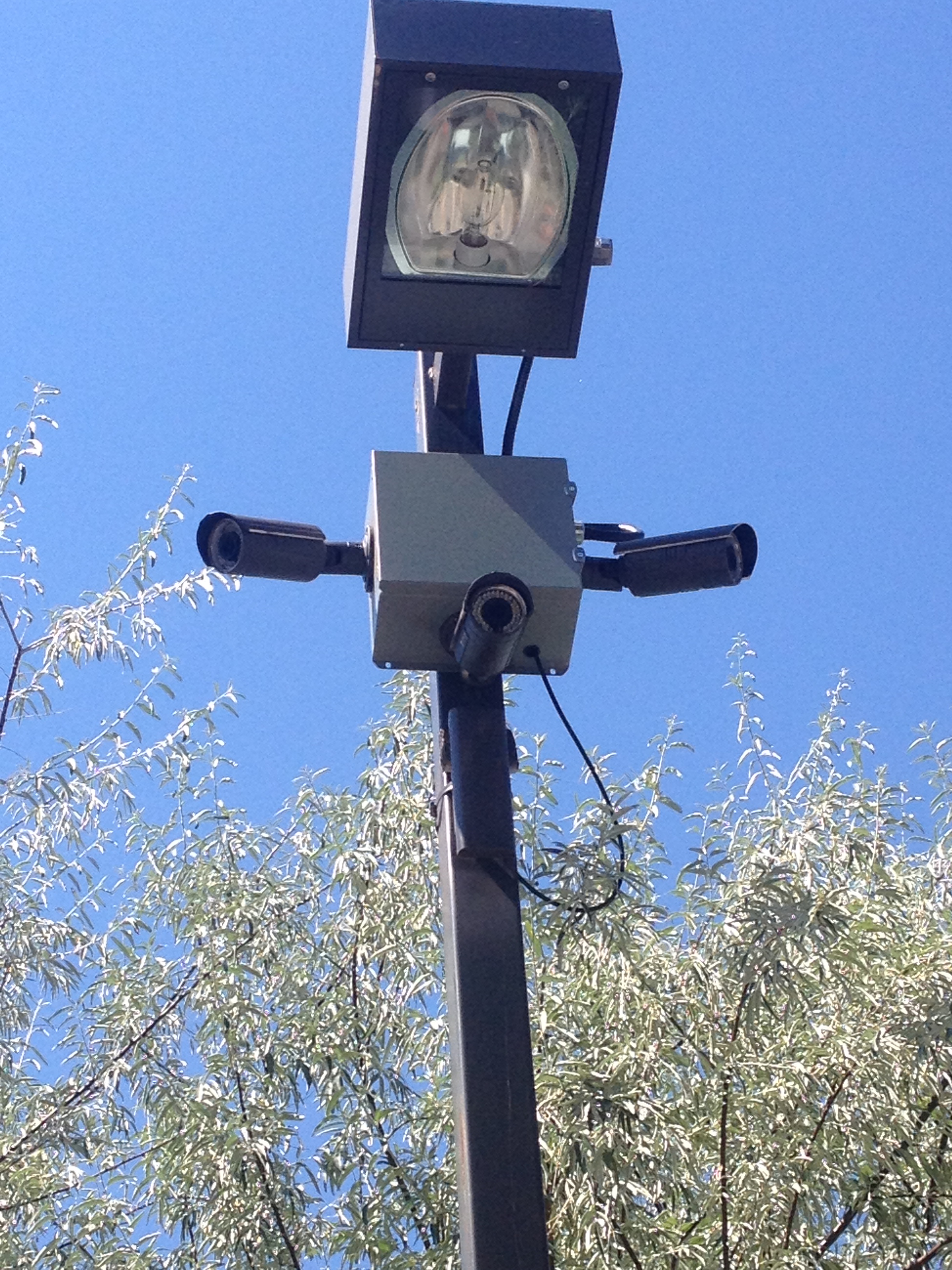 Pole cams